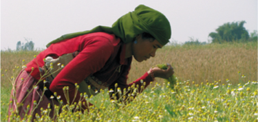 With a safe, clean water supply close at hand, Stidia has more time for school.